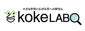 kokelabo