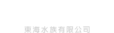 TUNG HOI AQUARIUM LEAD FORESIGHT ON THE VALUE OF EXCELLENT QUALITY 東海水族有限公司