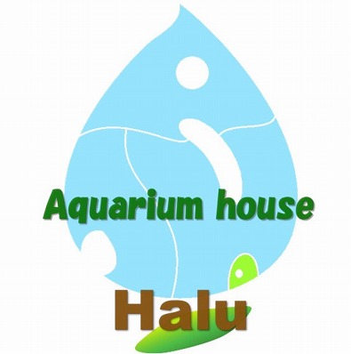 Aquarium house Halu
