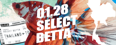 現地生産者 セレクトベタ 01.28号