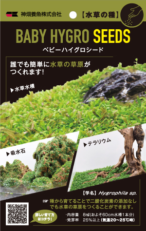 Kbo 水草の草原がこんなに簡単に ベビーハイグロシード 水草 カミハタビジネスオンライン