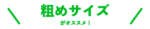 �e�߃T�C�Y���I�X�X��
