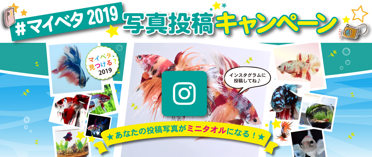 #マイベタ2019 Instagram写真投稿キャンペーン
