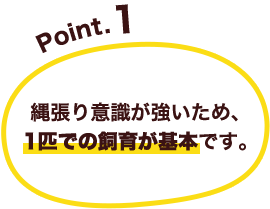 Point.1@꒣ӎ߁A1Cł̎炪{łB