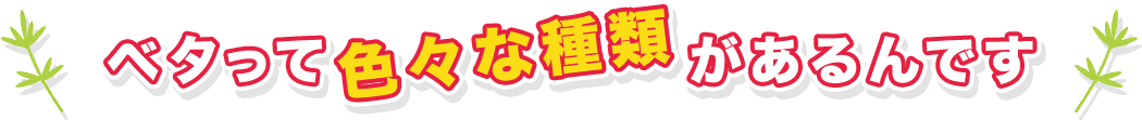 x^ĐFXȎނł