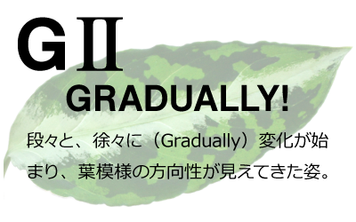 G2 iXƁAXɁiGraduallyjωn܂At͗l̕ĂpB