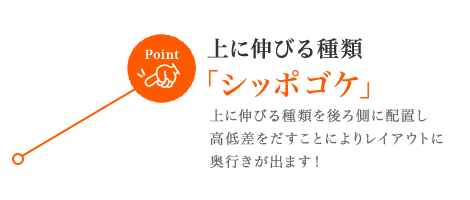 ɐLт uVb|SPvɐLтނ둤ɔzu ፷Ƃɂ背CAEg so܂I