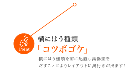 ɂ͂ށuRc{SPvɂ͂ނOɔzu፷ Ƃɂ背CAEgɉso܂I