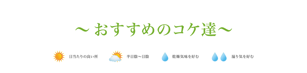 ߂̃RPB ̗ǂ A~A CD CD