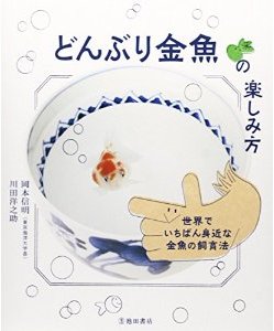 「どんぶり金魚の楽しみ方」本画像