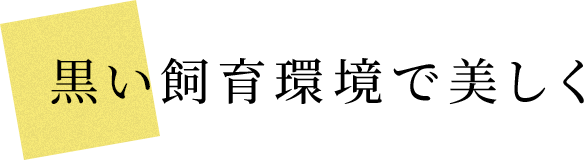 Ŕ