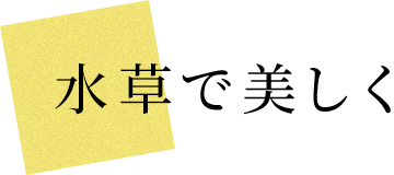 Ŕ