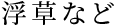 Ȃ