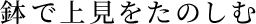 ŏ㌩̂
