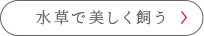 Ŕ