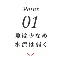 Point01 ͏Ȃ ͎キ