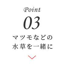 Point03 }cȂǂ̐ꏏ