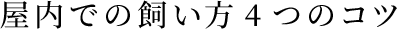 ł̎4̃Rc