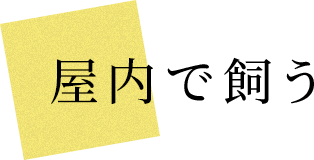 Ŏ