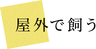 Ŏ