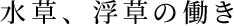 A̓