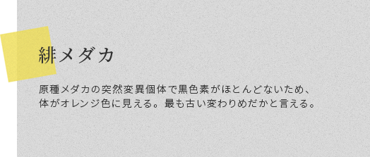 ꃁ_J 탁_J̓ˑRψٌ̂ōFfقƂǂȂ߁ÂIWFɌBłÂς߂ƌB
