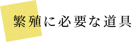 ɐBɕKvȓ