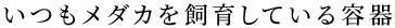 _J炵Ăe