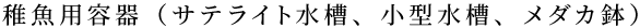 tpeiTeCgA^A_Jj