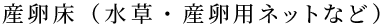 YiEYplbgȂǁj