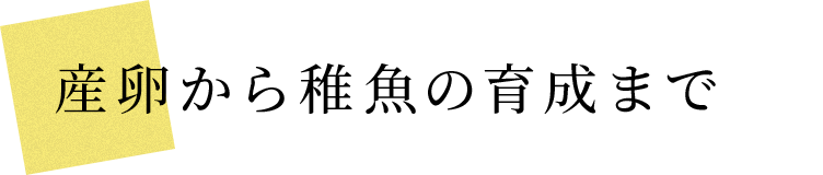 Yẗ琬܂