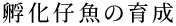 zë琬