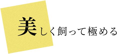 ċɂ߂
