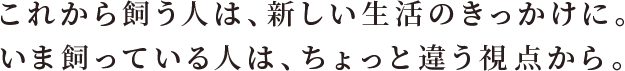 ꂩ玔ĺAV̂ɁB܎ĂĺAƈႤ_B