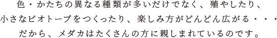 FËقȂނłȂAB₵AȃrIg[vAyݕǂǂLEEEA_J͂̕ɐe܂Ă̂łB