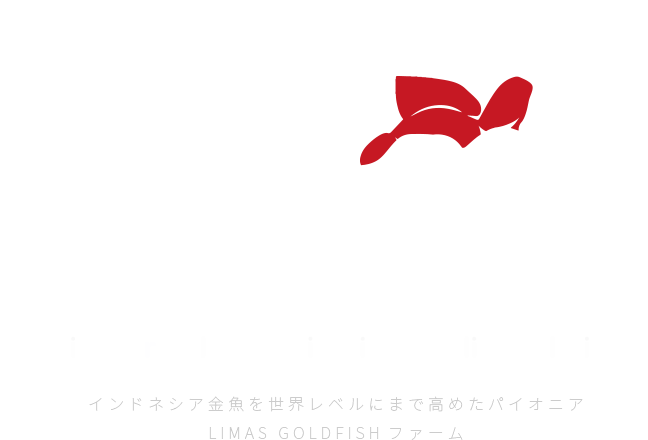 ʂ̃ChlVAYA{㗤 Limsfarm ChlVA𐢊Exɂ܂ō߂pCIjA