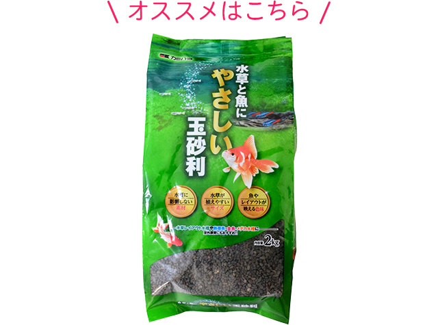 �I�X�X���͂�����