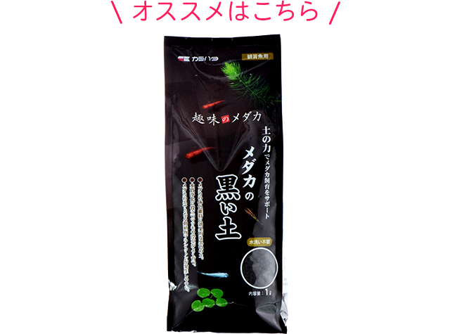 �I�X�X���͂�����