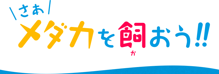 �������_�J��������!!