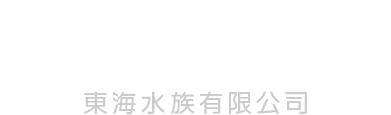 KBO Tung Hoi Aquarium|カミハタビジネスオンライン KBO Tung Hoi Aquarium|カミハタビジネスオンライン