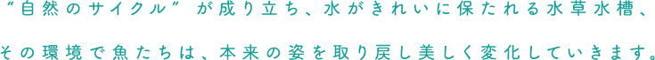 {