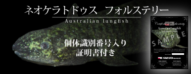 yMыzlIPghDX