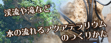 kȂ ̗ANAeÊ肩