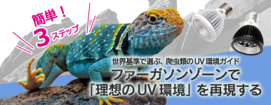 ファーガソンゾーンで 「理想のUV環境」を再現する