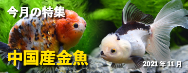神畑養魚
