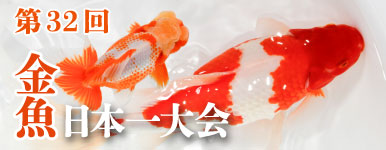 �y�����T�K�L�z��32�� �������{����@2026�N10��25���J��