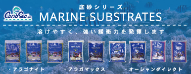 サンゴ砂とは何が違う?海水魚・サンゴ水槽の理想的な底床『カリブシー底砂シリーズ』