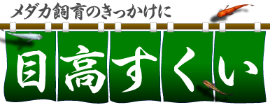 変わりメダカすくいのイベント提案