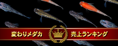 ς胁_JドLOI