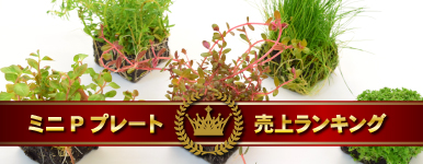 ~jPv[gドLOI